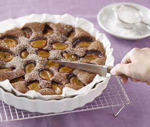 Schoko-Zwetschkenkuchen