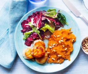 Kurz gebratene Jakobsmuscheln mit Süßkartoffelpüree und Blattsalat