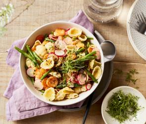 Bunter Nudelsalat mit Radieschen