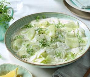 Gurkensalat mit saurer Sahne mit Dill serviert.