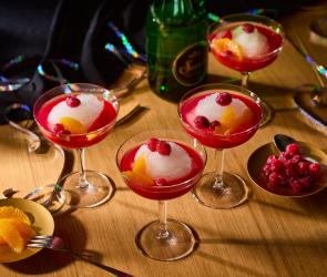 Prosecco-Granité mit Cranberry-Sud