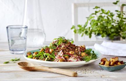 Veganer Berglinsen-Rucola-Salat mit Räuchertofu und Radieschen auf einem Teller.