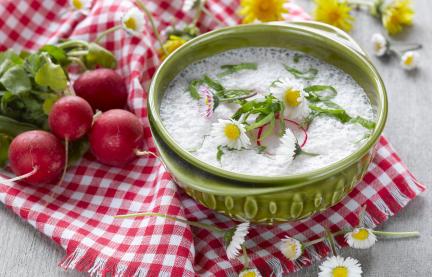 Kalte Radieschensuppe