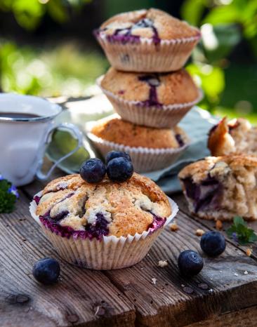 Blaubeer-Buttermilch-Muffins auf einem Holztisch im Garten angerichtet.