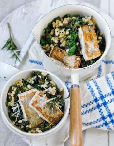 Gedünsteter Zander auf Graupenrisotto in zwei Töpfen angerichtet.