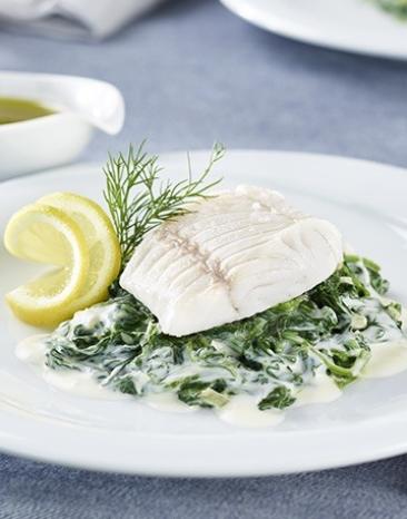Zanderfilet gedämpft mit cremigem Blattspinat auf einem Teller.