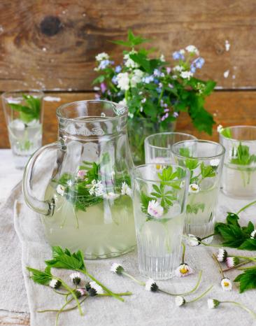 Sirup für Zitronen-Kräuterlimonade