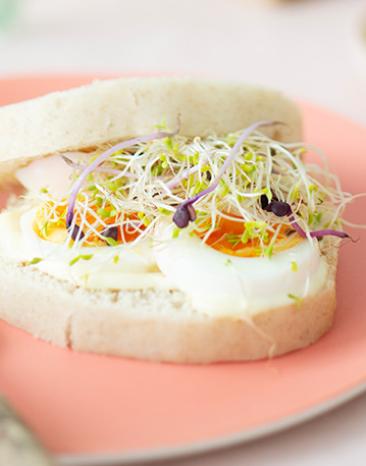 Gedämpftes Sandwichbrot mit gekochten Eiern und Sprossen