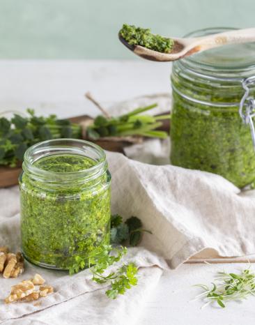 Wildkräuterpesto