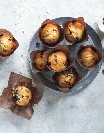 Joghurtmuffins mit Schokostückchen in Papierförmchen.