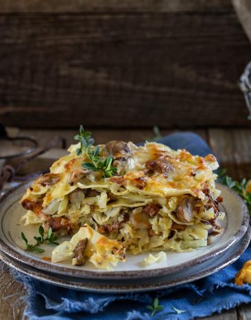 Spitzkohl-Pilz-Lasagne Portion auf einem Teller.