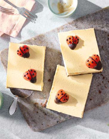 Marienkäfer Kuchen vom Blech in Stücke geschnitten.