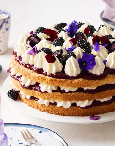 Brombeer-Biskuit-Torte hübsch dekoriert.
