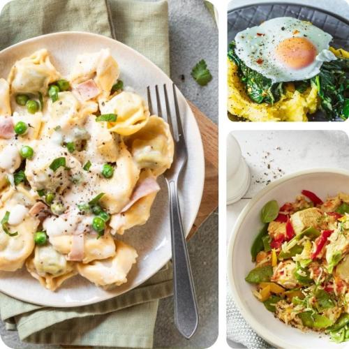 Tortellini, Spinat mit Kartoffelpüree und Reis mit HähnchenSc